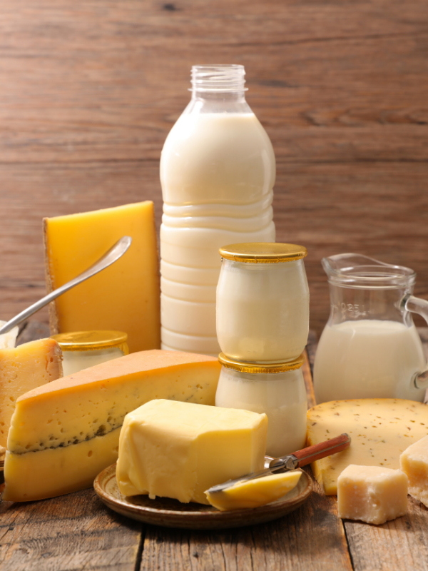 Süt Ürünleri